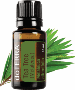 Tea Tree Oil
