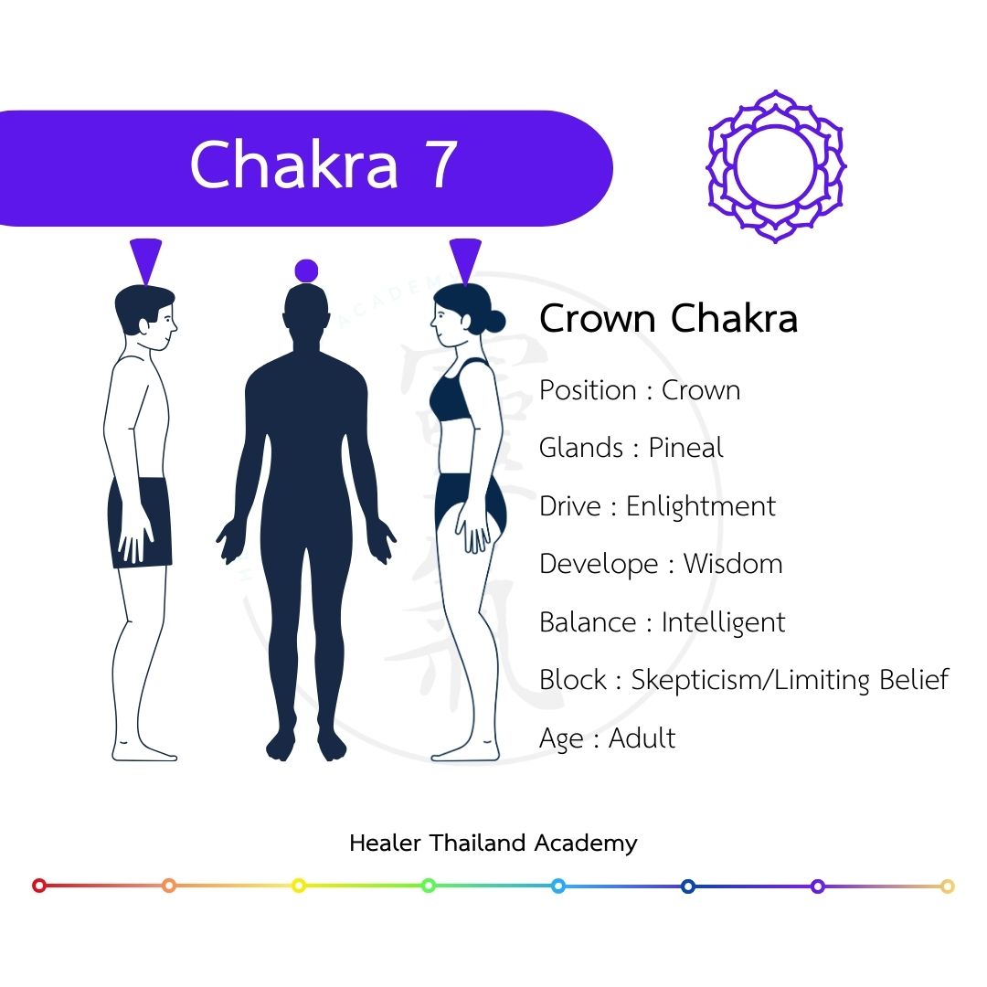 chakra 7