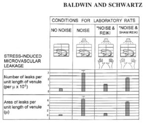 Baldwin rat