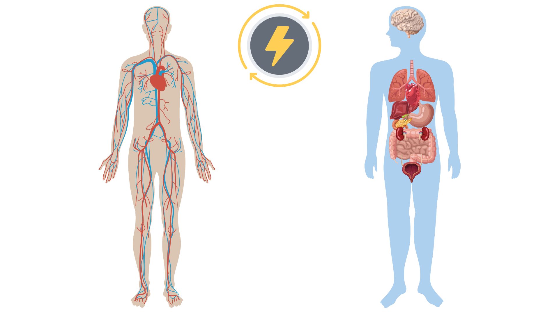 Reiki - Body